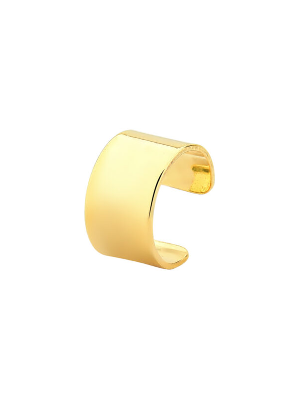 Piercing Fake Liso